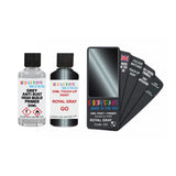 FORD GO ROYAL GRAY — 30Ml Touch Up Primer