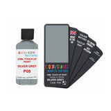 DODGE P08 SILVER GREY — 30Ml Touch Up