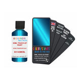 DAF TRUCKS E0142MEBL DYNES TRANSPORT BLUE — 30Ml Touch Up