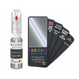 BMW WP8X FROZEN BROOKLYN GREY — 20Ml Touch Up