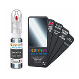 FIAT LANCIA 691A GREY FER — 20Ml Touch Up