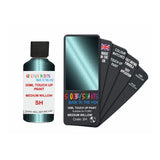 FORD SH MEDIUM WILLOW — 30Ml Touch Up