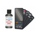 FORD SPR3 COOL GREY — 30Ml Touch Up