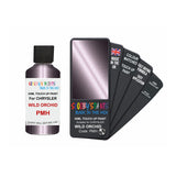 CHRYSLER PMH WILD ORCHID — 30Ml Touch Up
