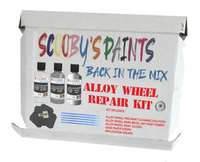 Alloy Wheel Rim Paint Repair Kit For Ford Mineral Gray Silver-Grey