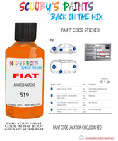 Paint For Fiat/Lancia 500 Arancio Narciso Code 519 Car Touch Up Paint