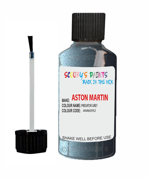 Paint For Aston Martin V12 VANQUISH PREDATOR GREY Code: AM6025 Car Touch Up Paint