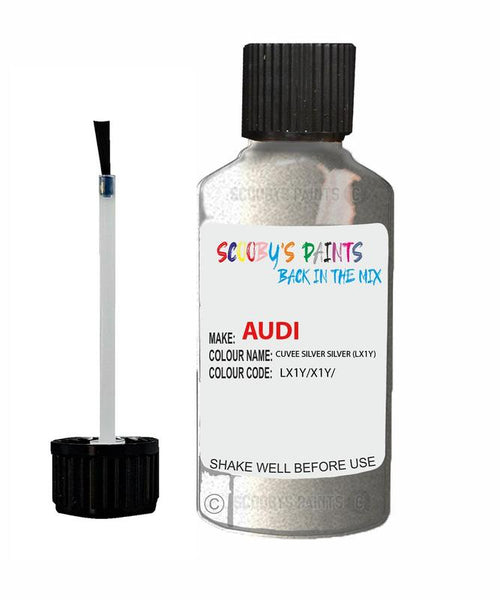 Paint For Audi A5 Sportback Cuvee Silver Silver Code Lx1Y Touch Up Paint