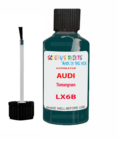 Paint For Audi Q4 E-Tron Tiomangruen Code LX6B Touch Up Paint Scratch Stone Chip Kit