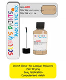 Paint For Audi A3 Santos Beige Code Ly1N Touch Up Paint Scratch Stone Chip Kit