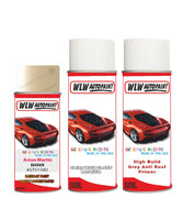 primer undercoat anti rust Aston Martin Vh3 Bahrain Code Ast5111D Aerosol Spray Can Paint