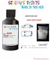 Paint For Audi A6 Amethyst Grey Code Lz4V Touch Up Paint Scratch Stone Chip