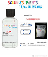 Paint For Audi A4 S4 Ibis White Code T9 Touch Up Paint Scratch Stone Chip Repair