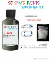 Paint For Audi A3 S3 Lorbeer Green Code Ly6R Touch Up Paint Scratch Stone Chip