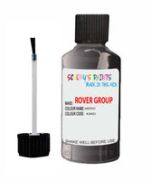 Rover 100 Amethyst Kmd Touch Up Paint Scratch Repair Kit