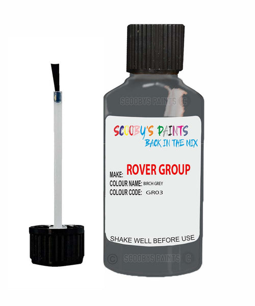 Rover 3500 Birch Grey Gr03 Touch Up Paint Scratch Repair Kit