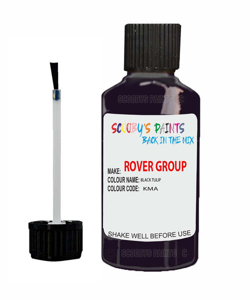Rover 2500 Black Tulip Kma Touch Up Paint Scratch Repair Kit
