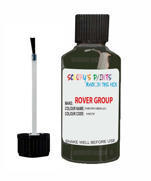 Rover 100 Forestry Green 2 C Hoy Touch Up Paint Scratch Repair Kit