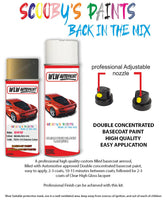 bmw x5 messing fq70 1573 car aerosol spray paint and lacquer 1998 2002