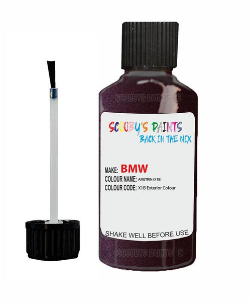 Bmw X6 Ametrin Code X1B Touch Up Paint Scratch Stone Chip