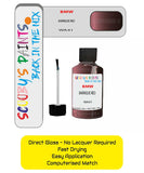 Paint For Bmw Barrique Red Paint Code Wa41/A41 Touch Up Paint Repair Detailing Kit