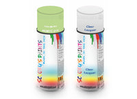 Bike Respray Aerosol Spray Paint BS381c-216 Eau de Nil