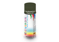Bike Bicycles Respray Aerosol Spray Paint BS381c-224 Deep Bronze Green