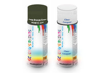 Bike Respray Aerosol Spray Paint BS381c-224 Deep Bronze Green