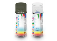 Bike Respray Aerosol Spray Paint BS381c-241 Dark Green