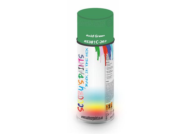 Bike Bicycles Respray Aerosol Spray Paint BS381c-262 Bold Green