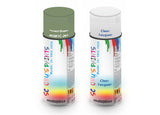 Bike Respray Aerosol Spray Paint BS381c-283 Forest Green