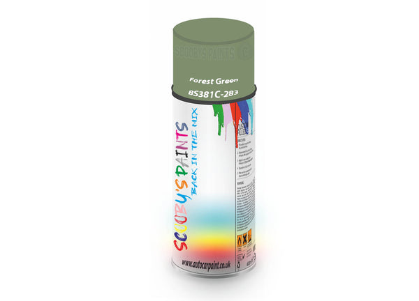 Bike Bicycles Respray Aerosol Spray Paint BS381c-283 Forest Green