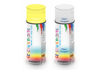 Bike Respray Aerosol Spray Paint BS381c-315 Grapefruit