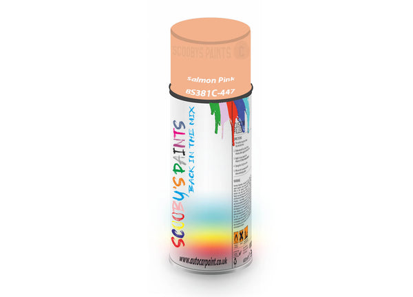 Bike Bicycles Respray Aerosol Spray Paint BS381c-447 Salmon Pink
