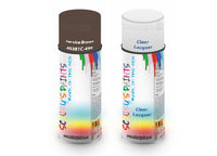 Bike Respray Aerosol Spray Paint BS381c-499 Service Brown
