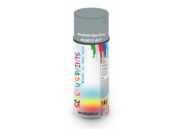 Bike Bicycles Respray Aerosol Spray Paint BS381c-637 Medium Sea Grey