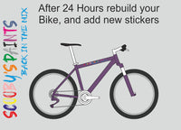 BS381c-796-Dark Violet-400ml Bascoat Bicycle Paint For Respray