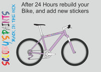 BS381c-797-Light Violet-400ml Bascoat Bicycle Paint For Respray