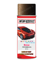Bmw X5 Pyrit Brown X13 Mixed to Code Car Body Paint spray gun
