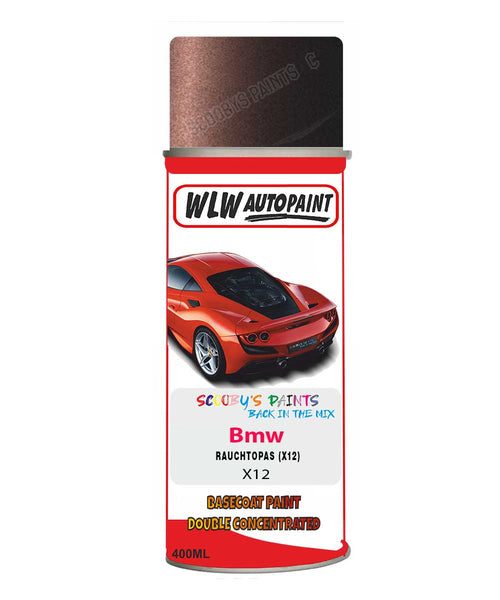 Bmw 3 Series Rauchtopas X12 Mixed to Code Car Body Paint spray gun