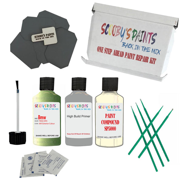 BMW TAIGA Paint Code 695 Touch Up Paint Repair Detailing Kit