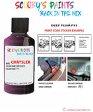 paint code location sticker for Chrysler Avenger Deep Plum Code: P51 Car Touch Up Paint