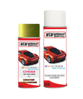 citroen-c3-vert-cidule-aerosol-spray-car-paint-clear-lacquer-p2 Body repair basecoat dent colour