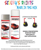 citroen c4 nautilus sable aerosol spray car paint clear lacquer eu
