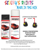 citroen c4 noir cornelie aerosol spray car paint clear lacquer fxt