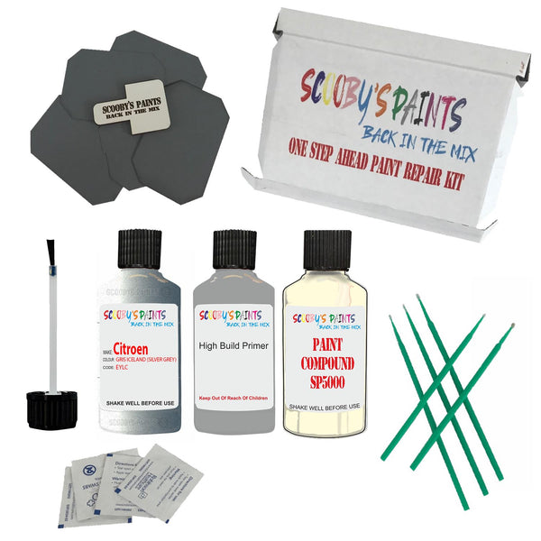 CITROEN GRIS ICELAND Paint Code EYLC/EYL Touch Up Paint Repair Detailing Kit