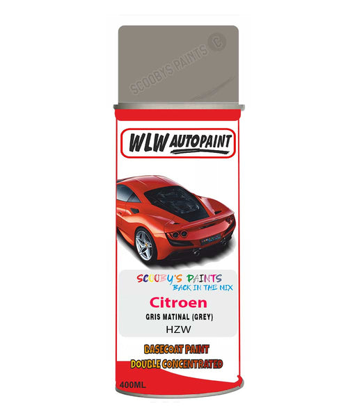 Citroen C3 Gris Matinal Mixed to Code Car Body Paint spray gun stone chip correction