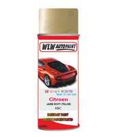 Citroen C3 Jaune Scott Mixed to Code Car Body Paint spray gun stone chip correction