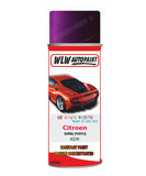 Citroen C3 Karma Mixed to Code Car Body Paint spray gun stone chip correction