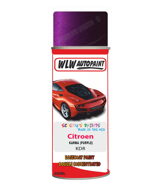 Citroen C3 Karma Mixed to Code Car Body Paint spray gun stone chip correction